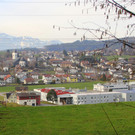 IMG_1154.JPG