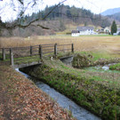 IMG_1187.JPG