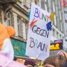 Grossdemo gegen Schwarz-Blau _63 von 266_.jpg