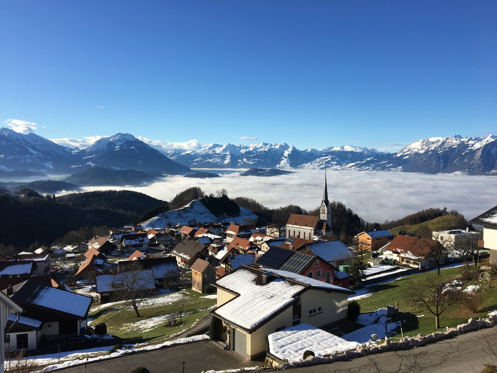 fraxern 2017_kam.JPG