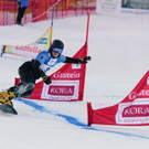 20180113_FMT_Team_Bewerb_Gastein_Snowboard_KJ_003.JPG