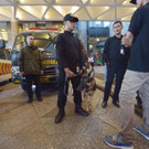AFP_WO57B.jpg