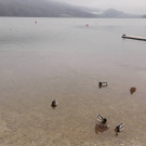 26941518_10213161037693330_1580135695_o _1_.jpg