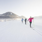 wa_170119_winter_cross_country_ski_lr_0222-1 Langlaufen.jpg