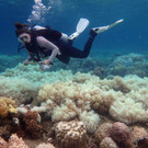 AFP_NF4YC.jpg