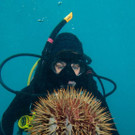 AFP_NW3Y9.jpg