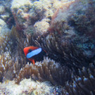 AFP_QQ5PS.jpg
