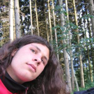 833851.jpg