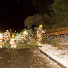 Übersaxen: Baum stürzt auf Straße