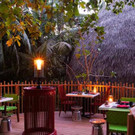Niyama Baumhaus Restaurant.jpg