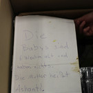 Drei Welpen beim Wiener Tierschutzverein ausgesetzt: Loki, Odin und Thor