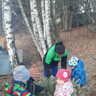 IMG-20180110-WA0001.jpg