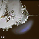 DAB1076-20120618.jpg