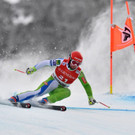 AFP_X498W.jpg