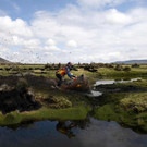 AFP_WJ79I.jpg