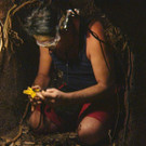 1359773.jpg