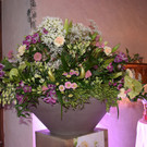 DSC_0076.JPG