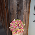 DSC_0098 _2_.JPG