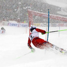 Austria_Alpine_Skiing_World_Cup_78976.jpg