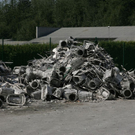 normal_20082009brandff_17.jpg