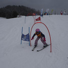 P1211861.JPG
