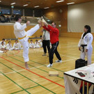 Kyokpa_Bruchtest _12_.JPG
