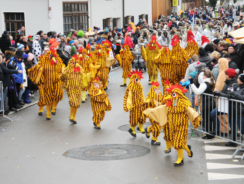 Umzug Fu__ach 2018 126.jpg
