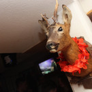 IMG_9233_JPG-1516615981.jpg