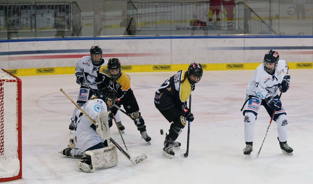 20180121_FMT_DEC_Eagles_vs_ERC_Ingolstadt_KJ_007.JPG