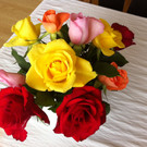 blumen2.JPG
