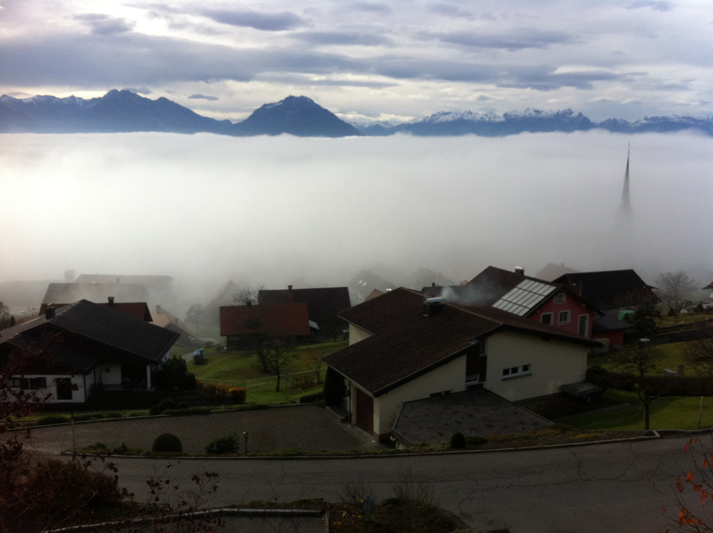 Fraxern 2014_Nov-kam.JPG