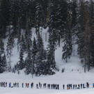 Trump_Davos_93287.jpg