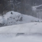 Trump_Davos_60068.jpg