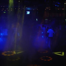 851431.jpg
