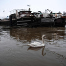 Hochwasser-Alarm in Paris