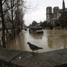 France_Flooding_72813.jpg