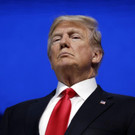 Trump_10374.jpg