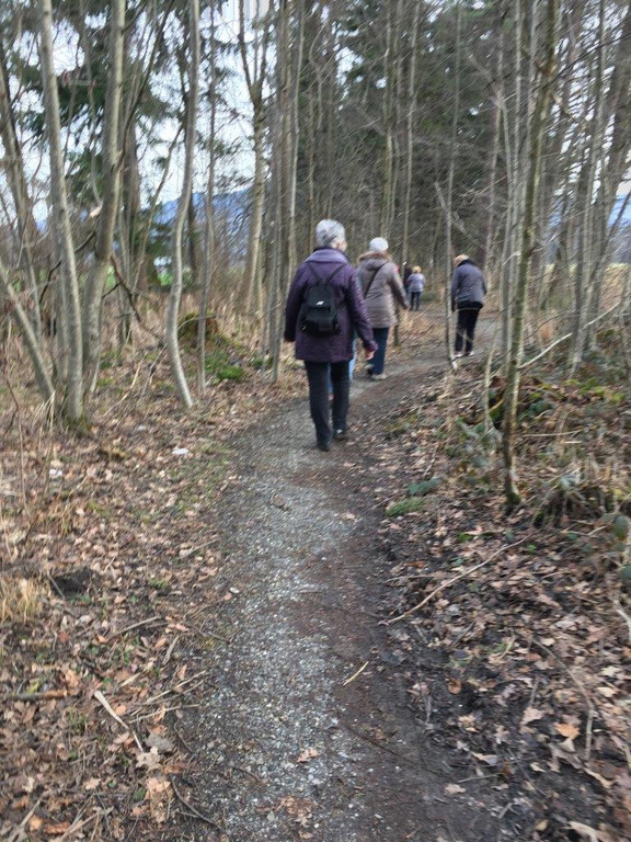 Riedwanderung Lustenauer Ried 25_01_2018 _ 2 _.jpg