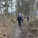 Riedwanderung Lustenauer Ried 25_01_2018 _ 2 _.jpg