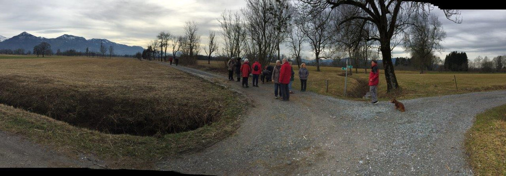 Riedwanderung Lustenauer Ried 25_01_2018 _ 4 _.jpg