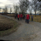 Riedwanderung Lustenauer Ried 25_01_2018 _ 4 _.jpg