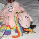 21_ Regenbogenball  _281 von 308_.jpg
