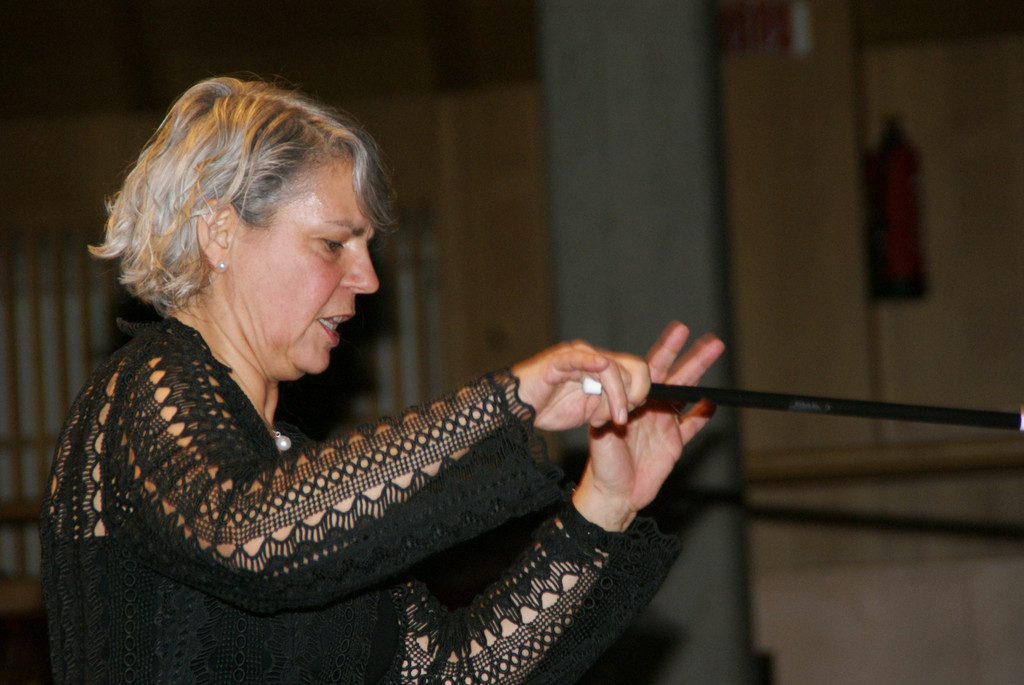 Doris Glatter-G__tz pr__sentierte die Musikschule beim Faschingskonzert.JPG