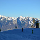 Schneewoche 290118_79.JPG