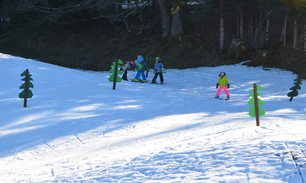 Schneewoche 290118_83.JPG