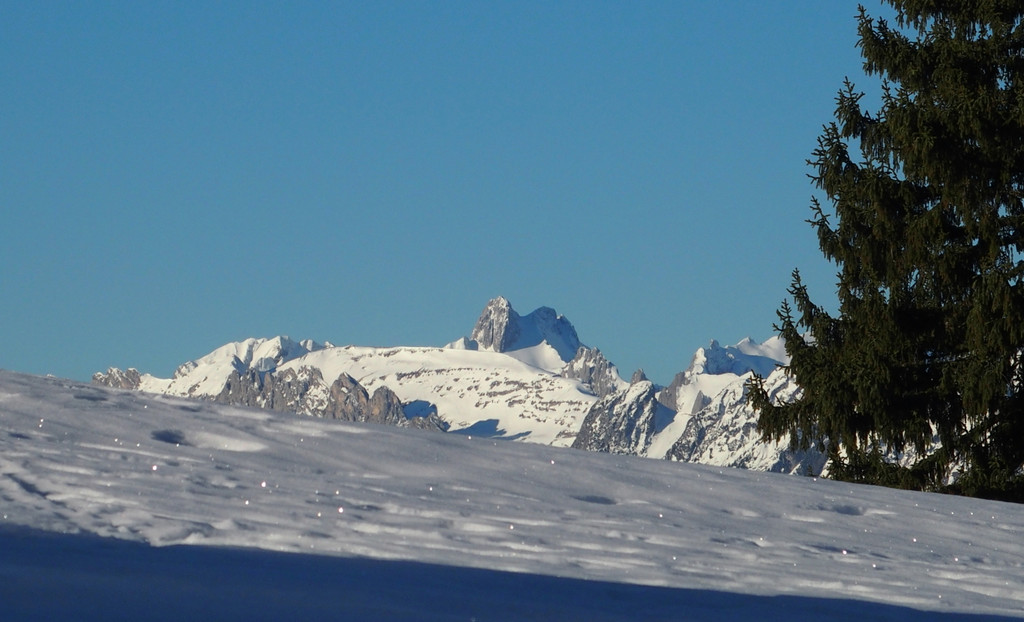 Schneewoche 290118_85.JPG