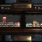 nhm 7.jpg