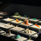 nhm 9.jpg