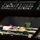 nhm 15.jpg
