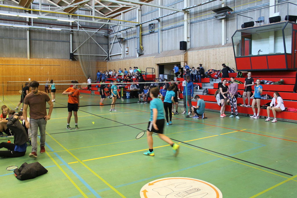 Badminton LM 003 verkleinert.jpg